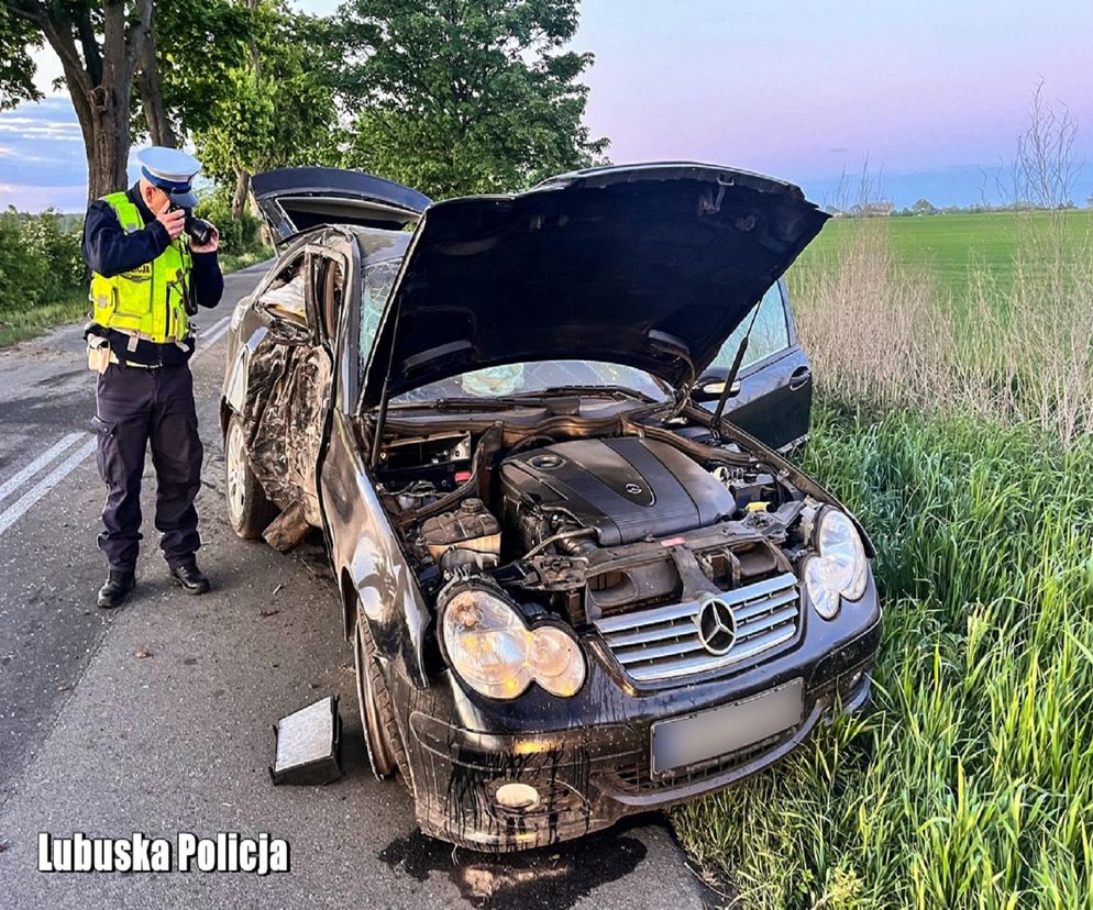 Świeżo upieczony kierowca i dwie osoby ranne