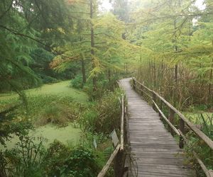 Arboretum Bolestraszyce