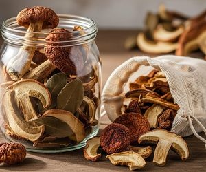 Jak przechowywać suszone grzyby? Tak zachowasz ich smak i aromat