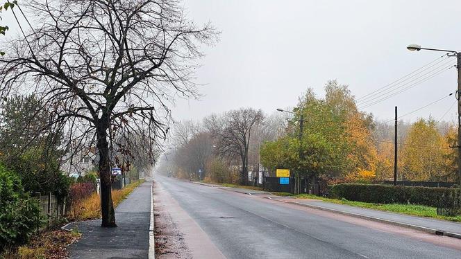 W Łodzi zabetonowano auto, w Jaworznie... drzewo na środku chodnika. Budowlańcy zaskakują fantazją