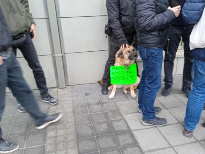 Protest przeciwko wysiedleniu uchodźców z Ukrainy i prywatyzacji Ikara