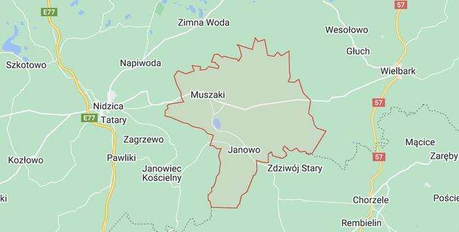 Janowo (powiat nidzicki)