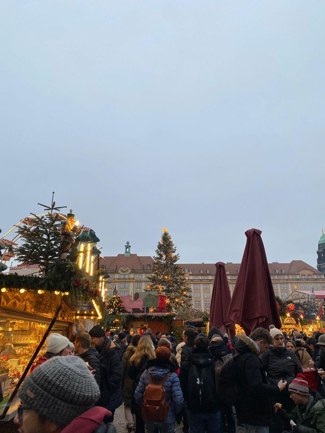 Najstarszy jarmark bożonarodzeniowy w Niemczech. Drezno zachwyca turystów z całego świata 