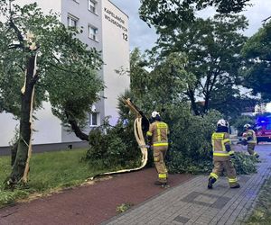 Powalone drzewa, zalania, wstrzymany ruch tramwajów: dramatyczny bilans orkanu nad Śląskiem
