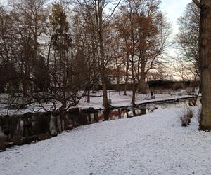 Zimowo i świątecznie w Gdańsku. Zobaczcie nasze zdjęcia!