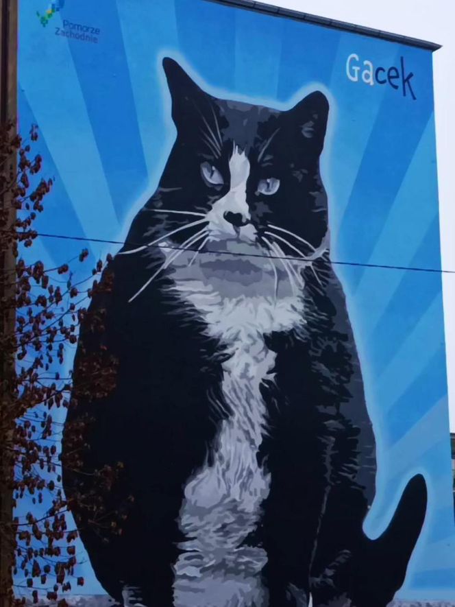 Mural z kotem Gackiem już odsłonięty