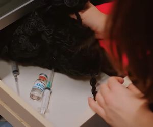 Miłość i nadzieja, odcinek 326. Sila