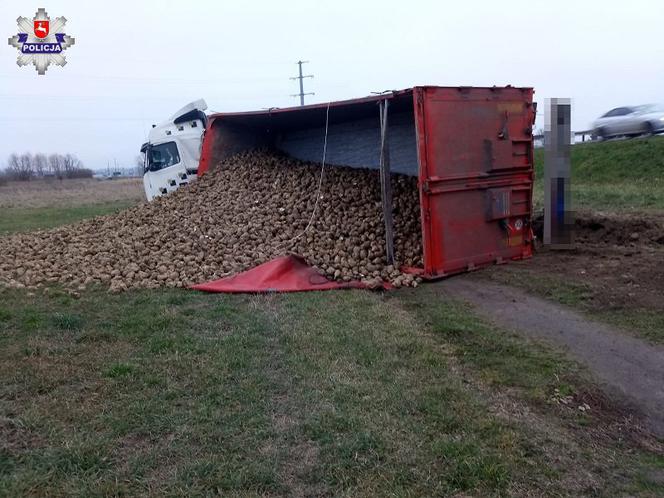 Krasnystaw: TIR WYPADŁ Z DROGI! Tony buraków wysypały się na pole