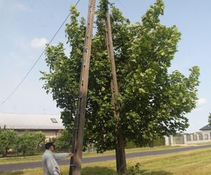 Ratował boćka na słupie, spadł z drabiny