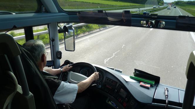 Kierowca autobusu