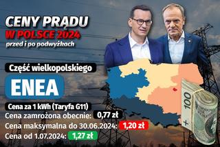 Ceny prądu w Polsce 2024 - przed i po podwyżkach 