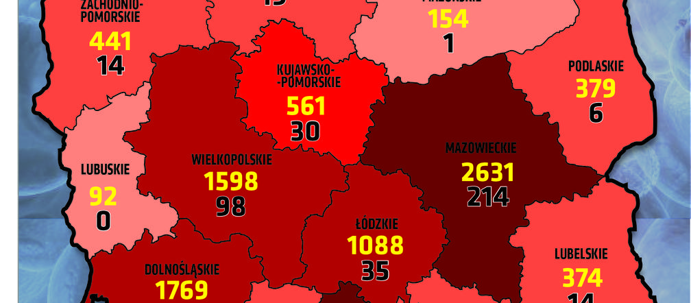 Koronawirus w Polsce. Najnowsze dane 5.05 godz. 18