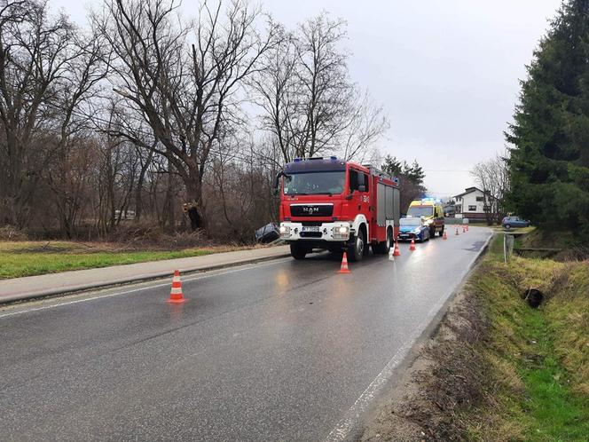 Lubaszowa. Kierujący citroenem wypadł z jezdni i wpadł do rowu