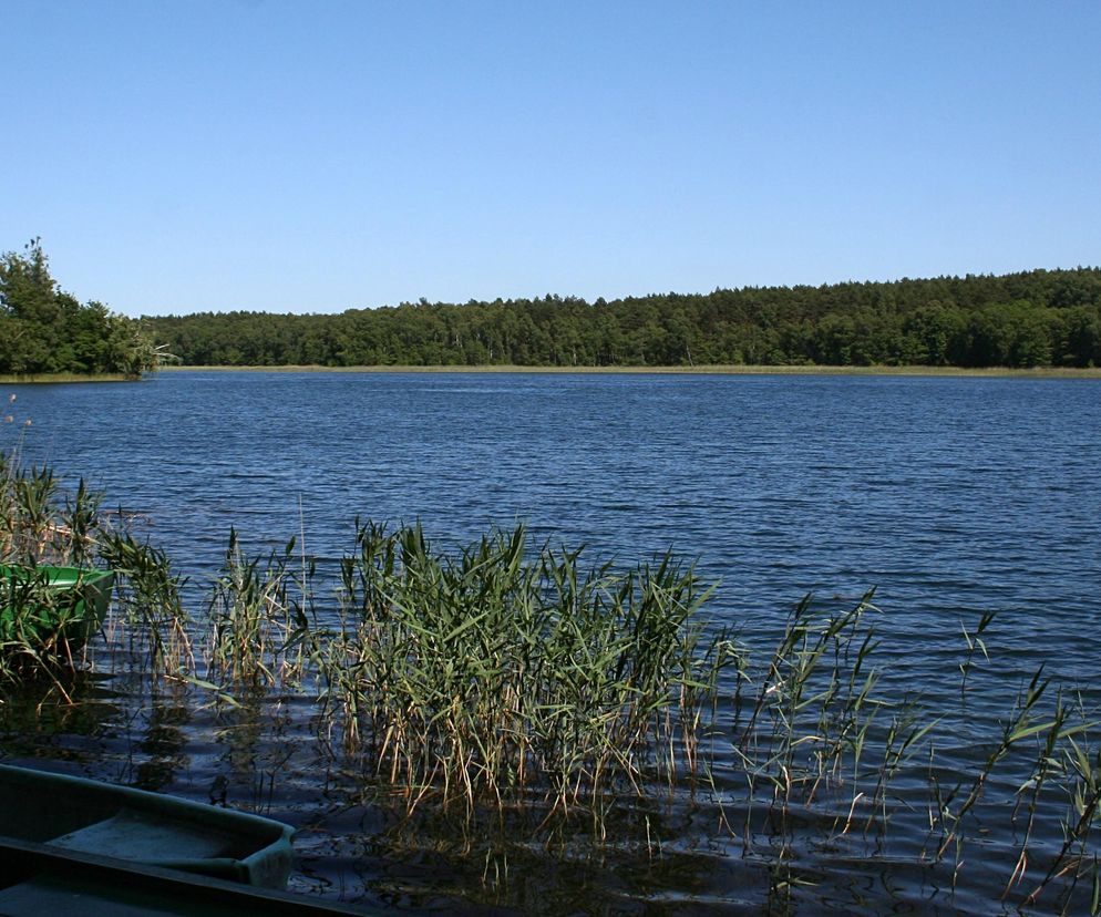 Te jeziora w kujawsko-pomorskim nie są często odwiedzane. Warto je odwiedzić [GALERIA]