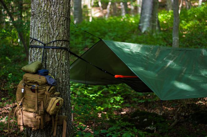 Bushcraft i survival w polskich lasach legalne już pół roku. Co o tym sądzą leśnicy?