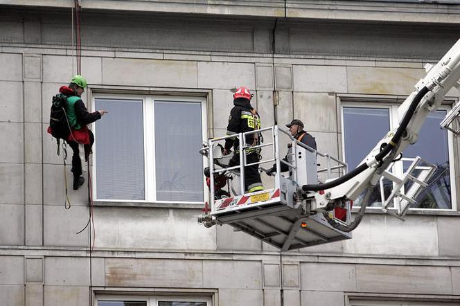 Aktywiści Greenpeace