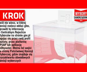 Tak zagłosujesz w wyborach samorządowych - 5 kroków! 