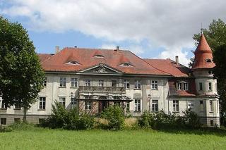 Oto najdroższe pałace na sprzedaż w Wielkopolsce - zobacz zdjęcia