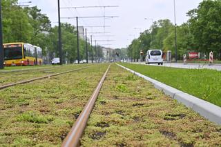 Kiedy rusza tramwaj na Gagarina? Znamy szczegóły przygotowań urzędników