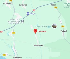 Całowanie (pow. otwocki)