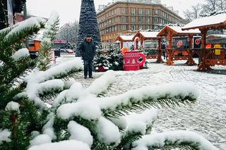 Pierwszy śnieg w Szczecinie