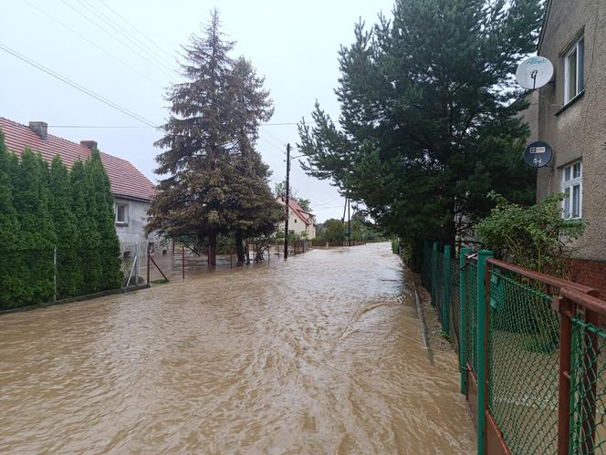 Zagrożenie powodziowe. Głuchołazy. Woda przelała się przez wały. Zalewa miasto