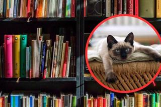 Za zgubioną książkę możesz zapłacić... kotem 