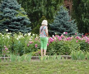 To jeden z najpiękniejszych ogrodów botanicznych w Polsce. Znajduje się na Dolnym Śląsku 