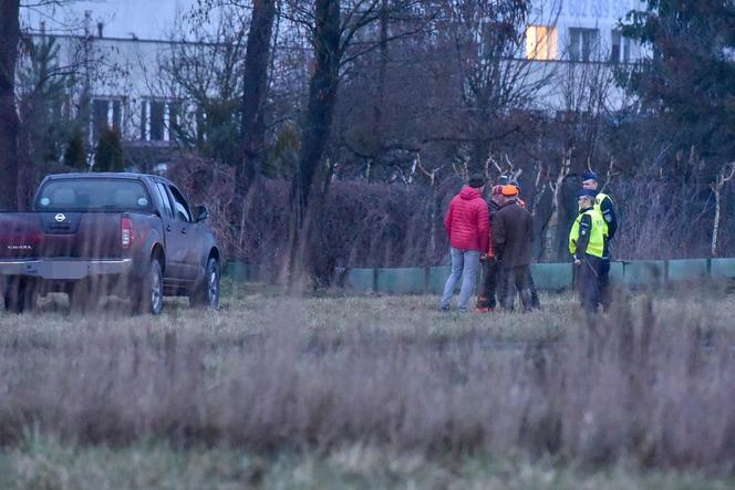 Myśliwi z długą bronią na ramieniu w środku toruńskiego osiedla przepędzali watahę dzików!