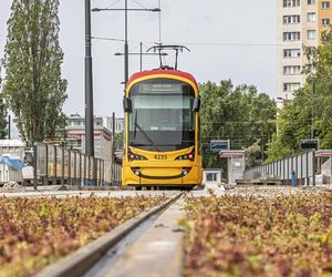 Nowa trasa tramwajowa w stolicy już działa. Jakie jeszcze są w planach?