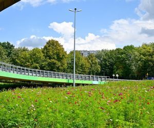 Głosowali na nią tysiące mieszkańców! Nowa inwestycja zrewolucjonizuje Białystok