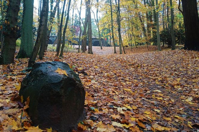Porządkowanie terenu wokół wieży Quistorpa