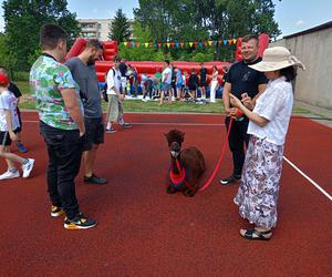 Nowa ławka Gaudiego została uroczyście odsłonięta podczas Pikniku Rodzinnego 2024 w siedleckiej Jedynce