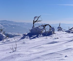 Magurka Radziechowska na zdjęciach