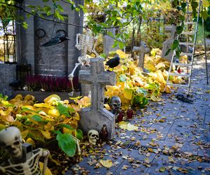 Willa na Jaśkowej Dolinie w Gdańsku