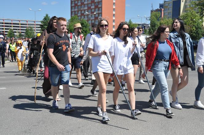 Juwenalia 2024 w Kielcach. Studenci przejęli władzę w mieście!