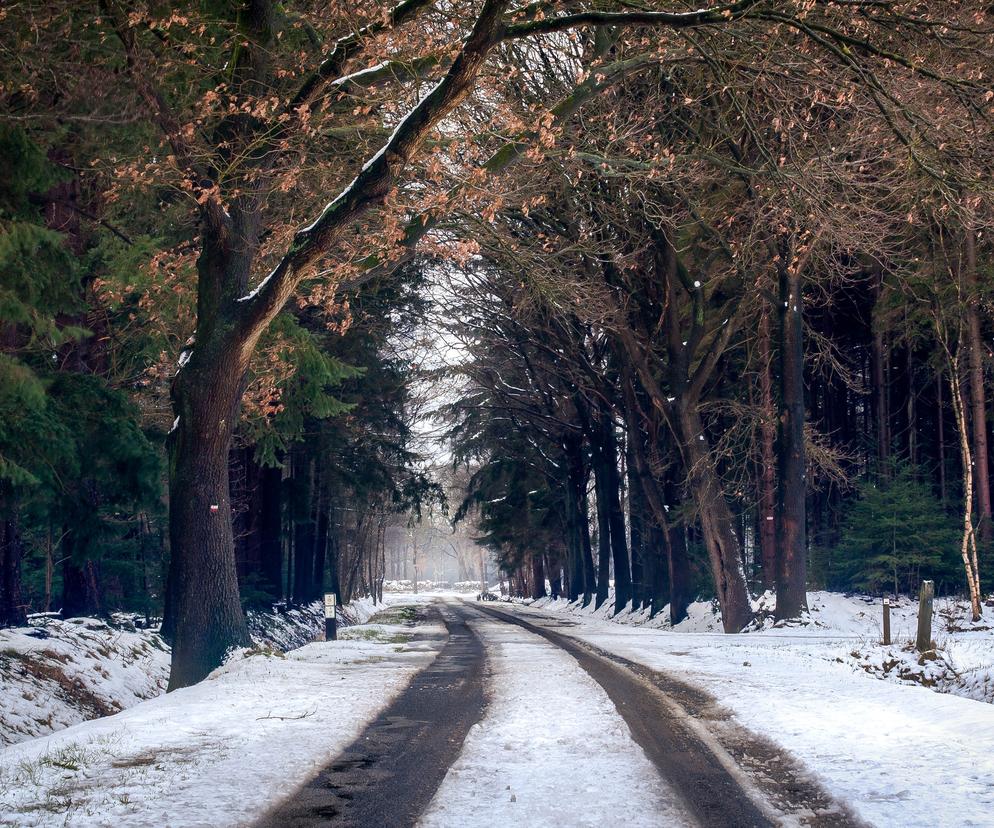 Zajeżdżony śnieg na drogach Lubelszczyzny