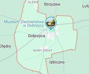 Dobrzyca