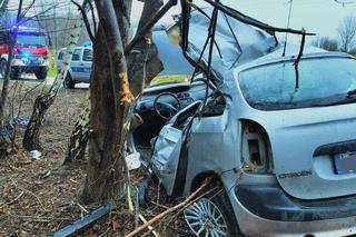 Tragiczny wypadek w Zrąbie w pow. zamojskim. Auto roztrzaskało się na drzewie