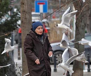 Anna Chodakowska. Gwiazda Labiryntu wśród ptaków