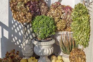 Jesień w pełni, a mój balkon wygląda jak z bajki! Zobacz, jak to zrobiłam