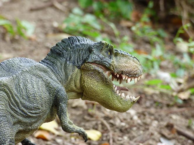 JuraPark