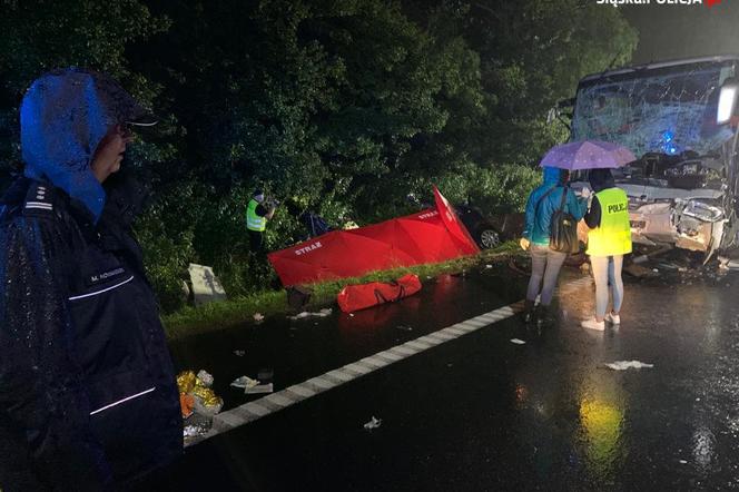Makabryczny wypadek w Gliwicach. Kierowca volkswagena winny śmierci 9 osób?