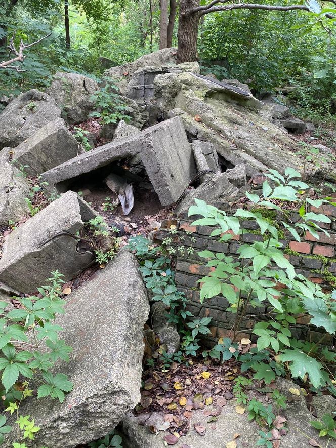 Park Żerański w Warszawie