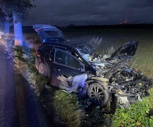 Wichura zmiotła drzewo na samochód. Ojciec i córka poszkodowani