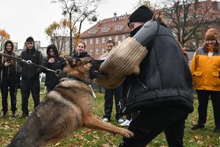 Trening psów ze studentami