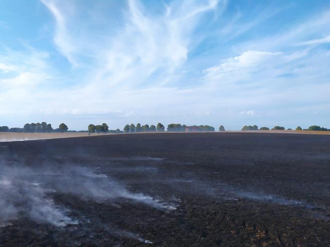 Dwa pożary zboża oraz rżyska w powiecie braniewskim