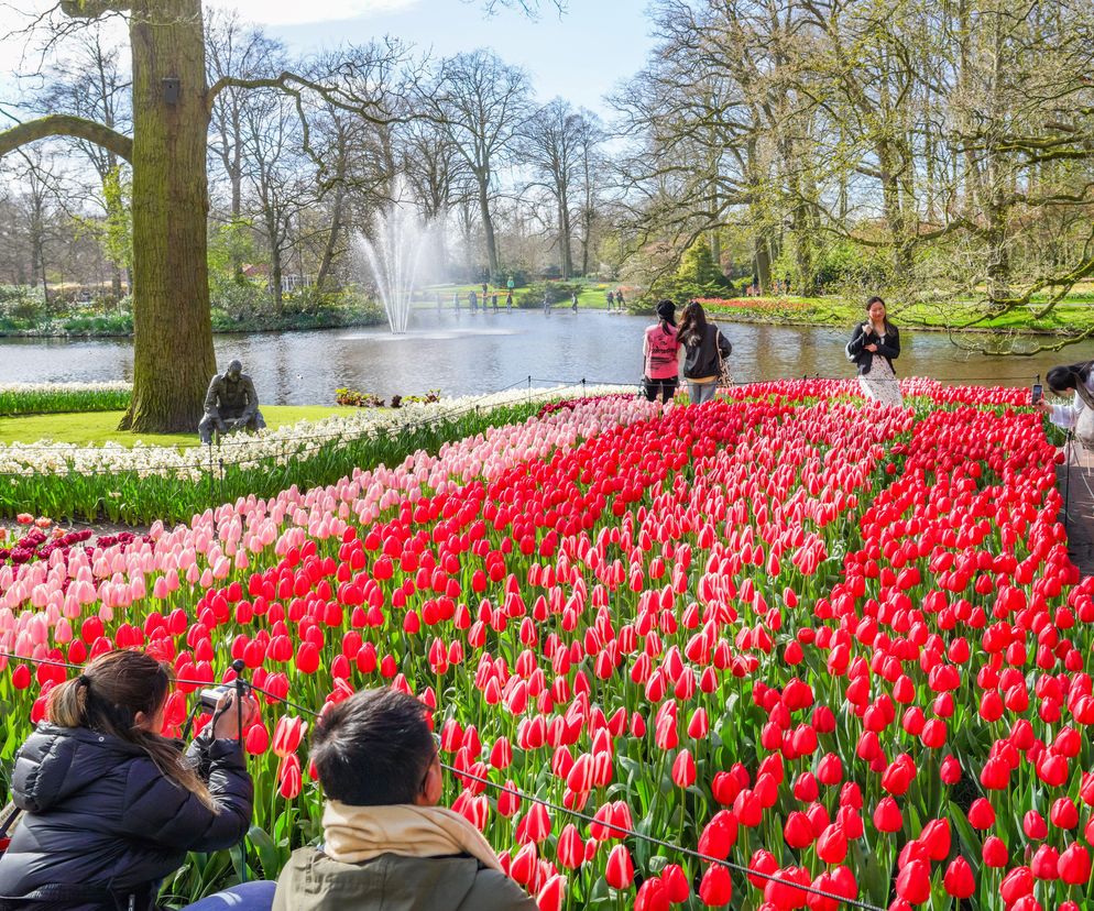 Ten ogród jak z bajki otwierają tylko na dwa miesiące. Turyści je kochają