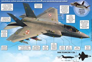 Kupujemy nowoczesne myśliwce F-35. Ekspert dla „SE”: „Damy Ruskim popalić”