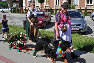 Zjazd Berneńczyków - Tarnów w tricolorze